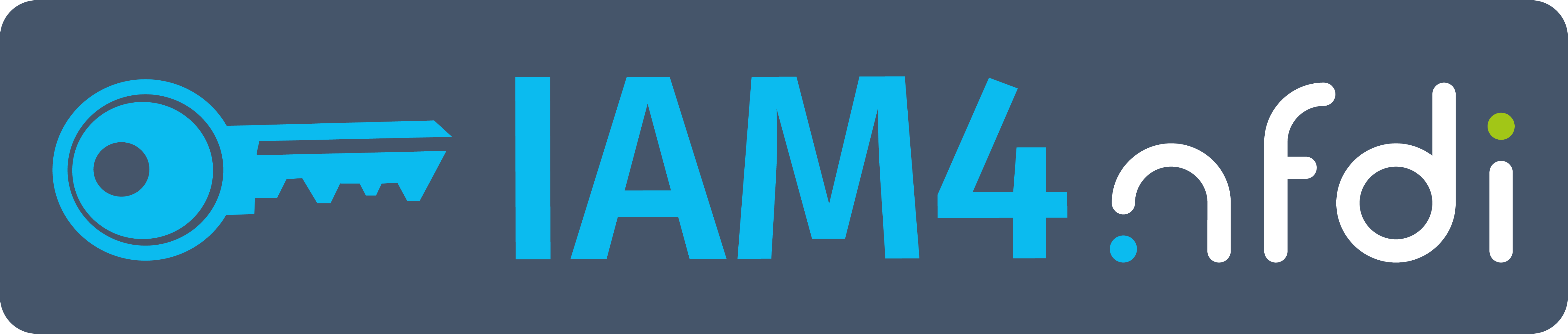 IAM4NFDI-Logo