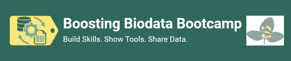 Logo Boosting Biodata Bootcamp
